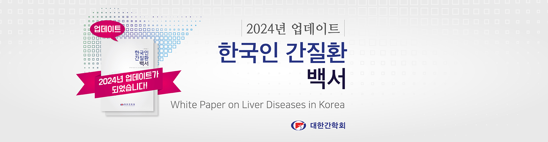 Chronic Hepatitis B Fact Sheet in Korea